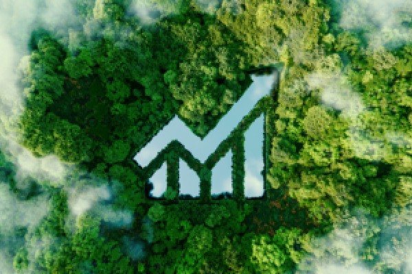 合肥工业银行分行：江淮绿色金融 共绘新的生态画卷